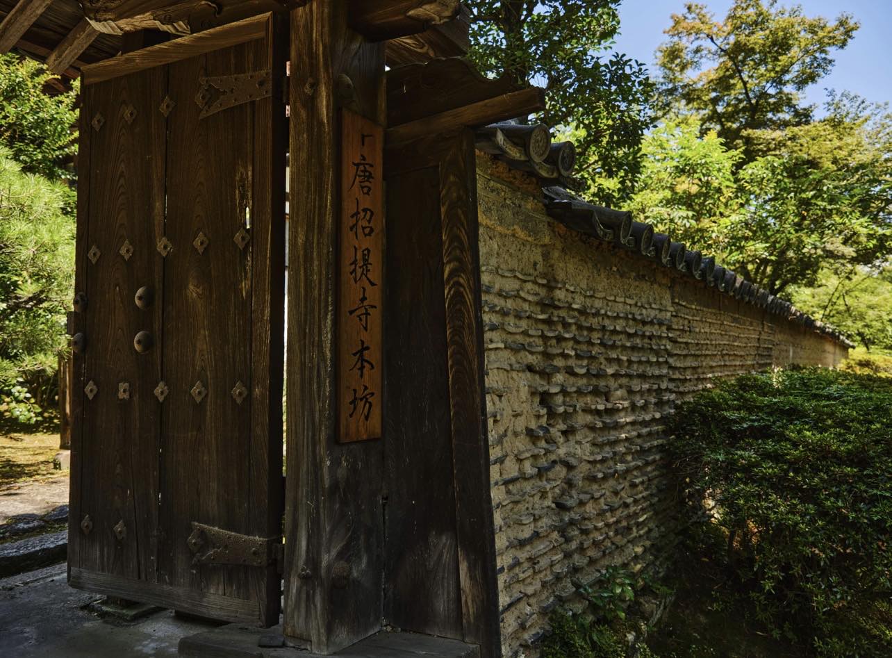 Tea Gathering with Orthodox Seating at Toshodaiji