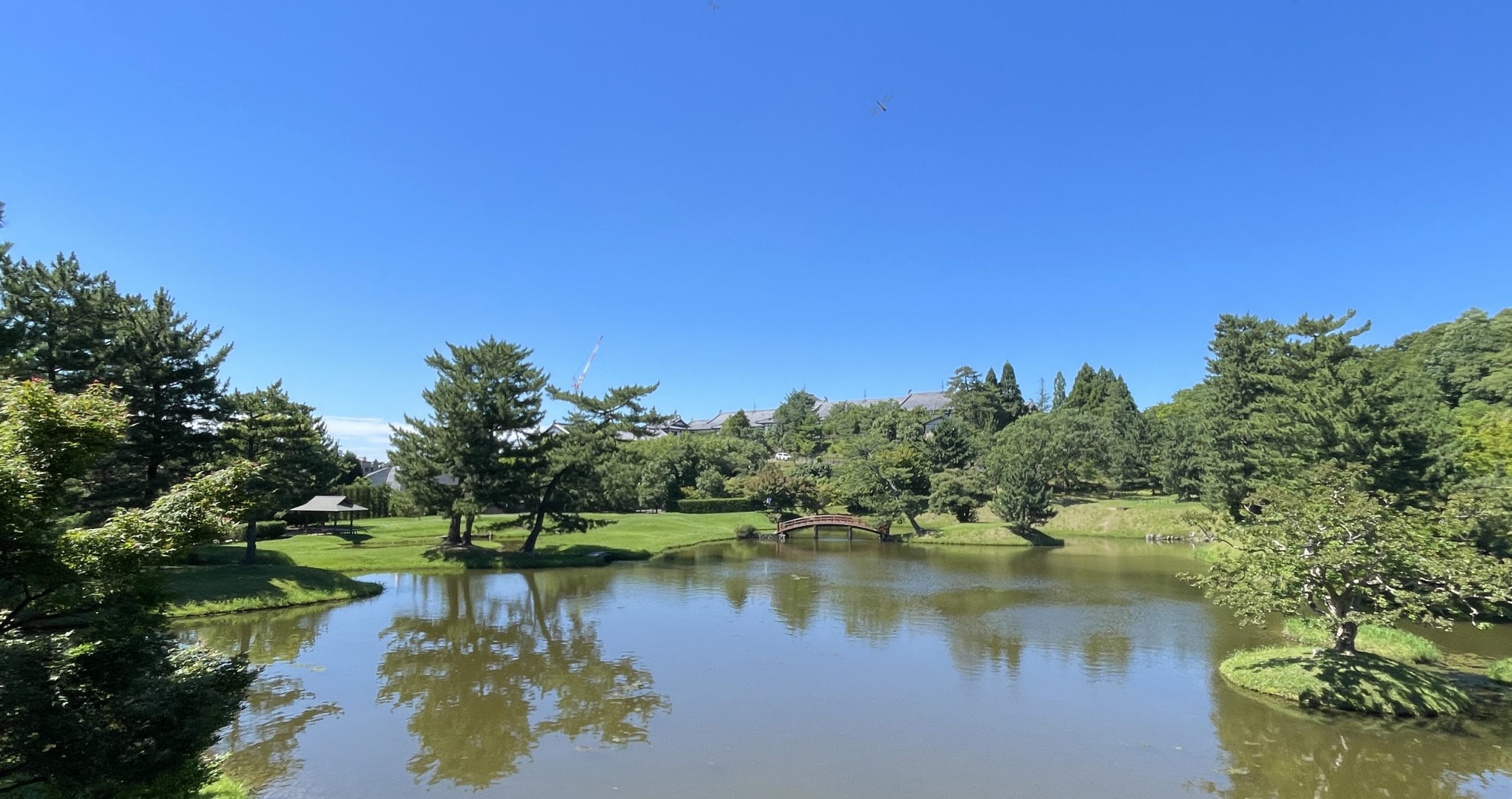 The tea gathering experience at the Former Daijo-in Temple Garden which is representative of the subtle and profound traditional Japanese garden as a great opportunity for the refreshment in the morning.